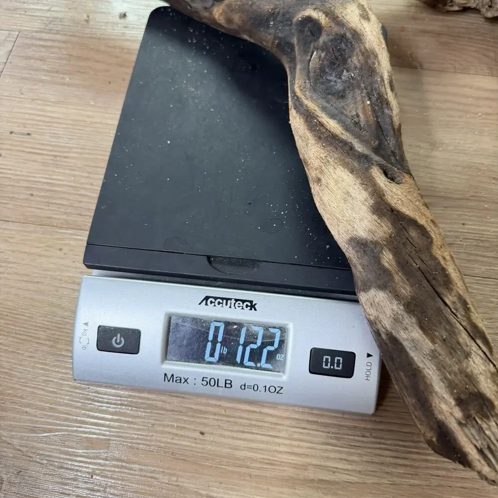 Bent California Driftwood with Burnt Patina & Natural Bend – Sculptural Wood
